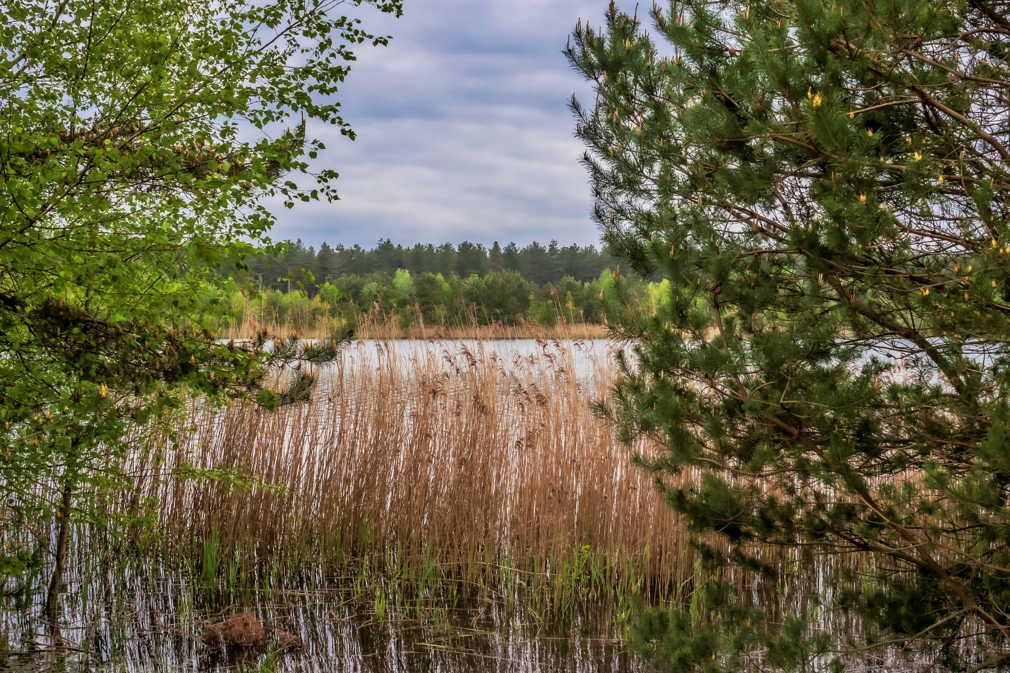 Natuur... alvast iets mooier weer om te wandelen