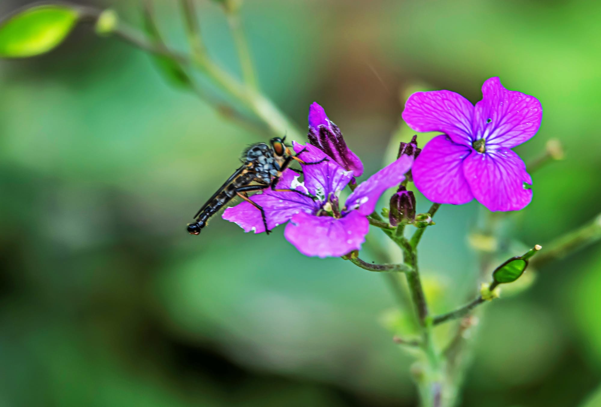 Natuur... alvast iets mooier weer om te wandelen