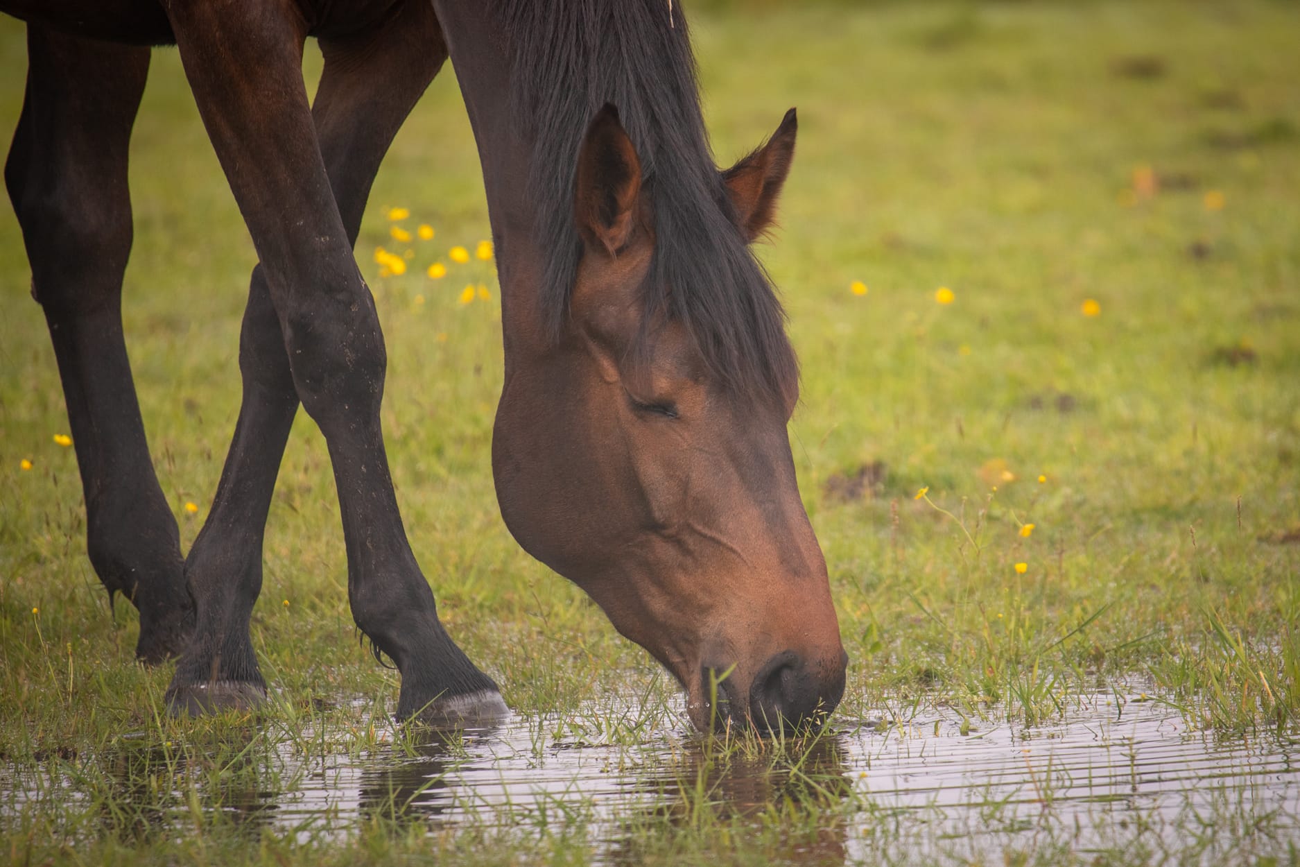 Natuur... alvast iets mooier weer om te wandelen