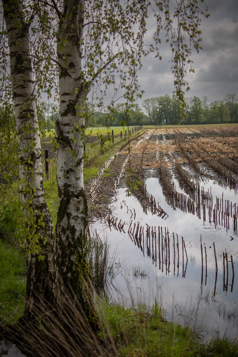 Natuur... alvast iets mooier weer om te wandelen