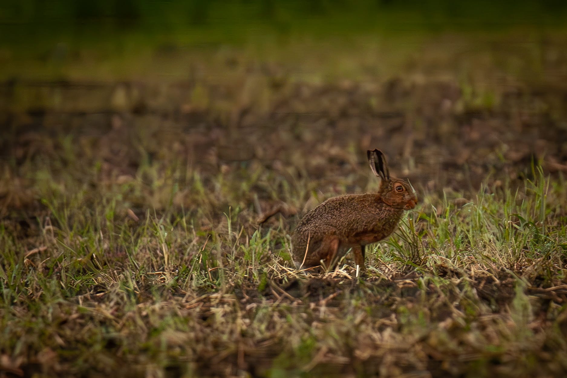 Natuur... alvast iets mooier weer om te wandelen