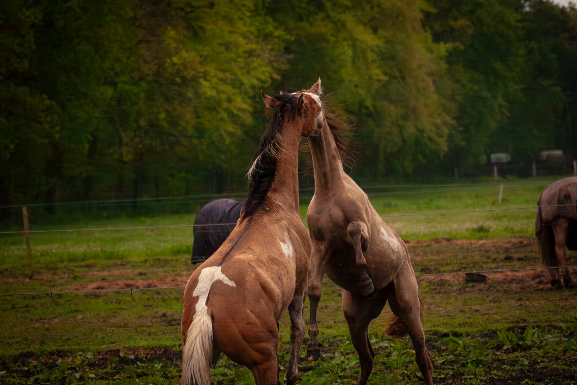 Natuur... alvast iets mooier weer om te wandelen