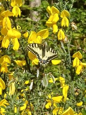 Natuur... alvast iets mooier weer om te wandelen