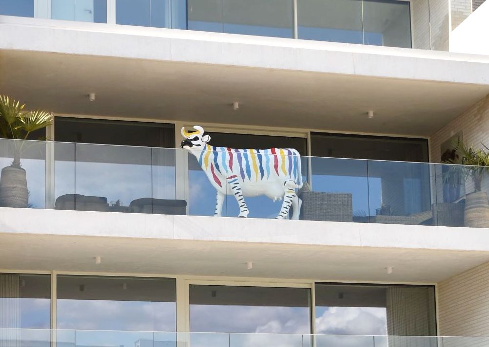 Een koe op het terras...
