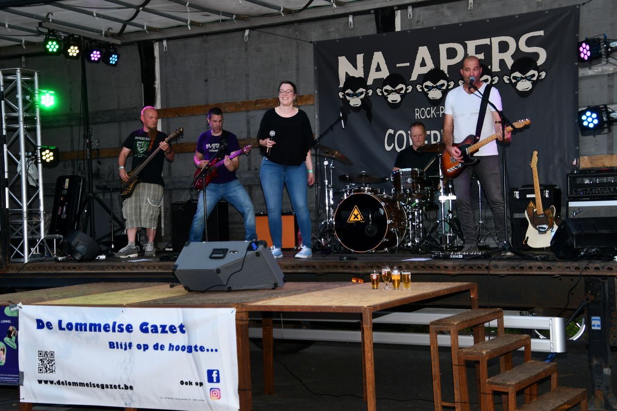Na-Apers vanavond op 'Ons Genoegen in the Mood'