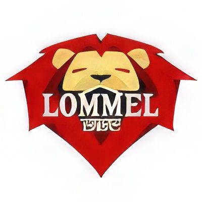 Basket Croonen Lommel wint van Kontich Wolves