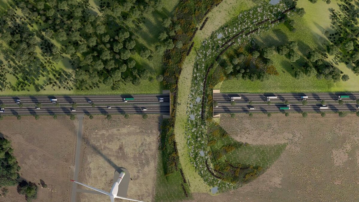 Binnenkort starten de werken aan het ecoduct 🌳