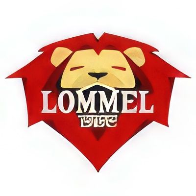 Basket Lommel wint van Neufchateau