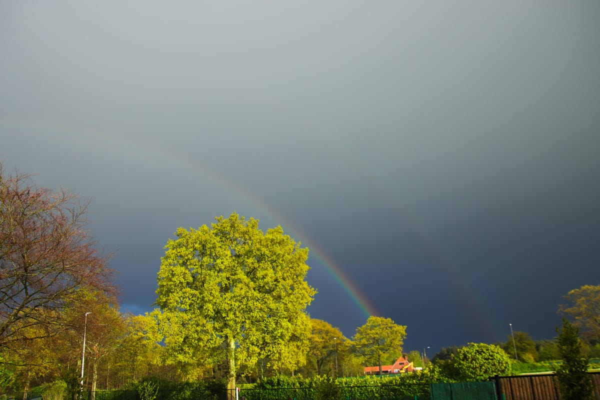 Ook regenweer levert mooie beelden op