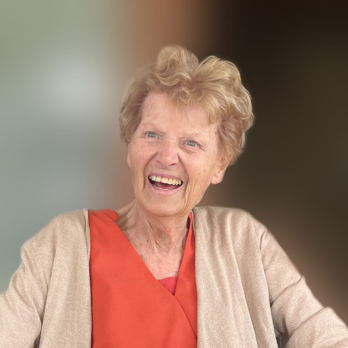 elise-strobbe-overleden