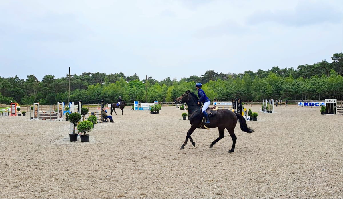 Paardensport aan de Soeverein