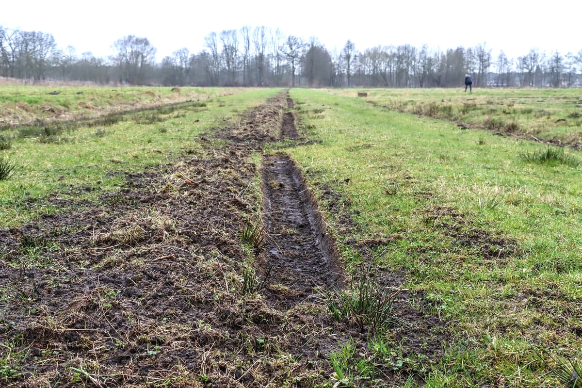 'Zoeven' als voorbereiding op het 'Witteren'