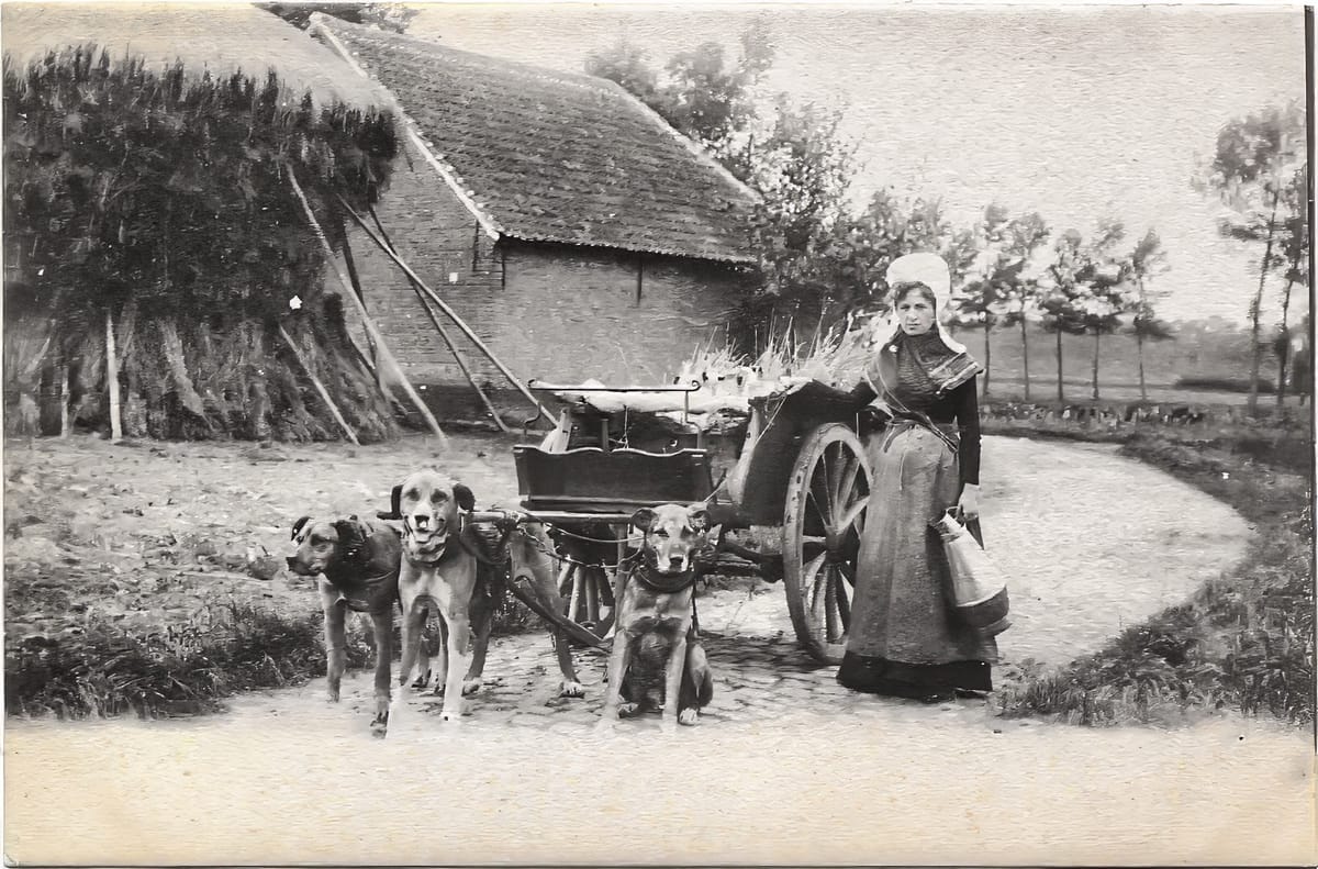 Met hond, paard en kar...