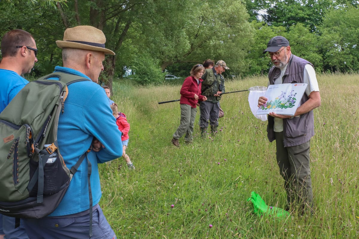 Hommelwandeling bij Natuurpunt