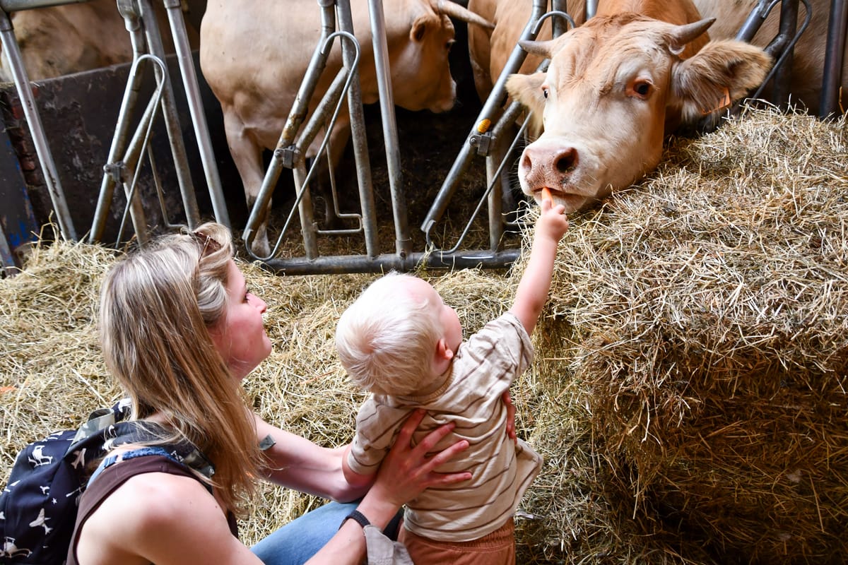 Belevingsdag op de boerderij