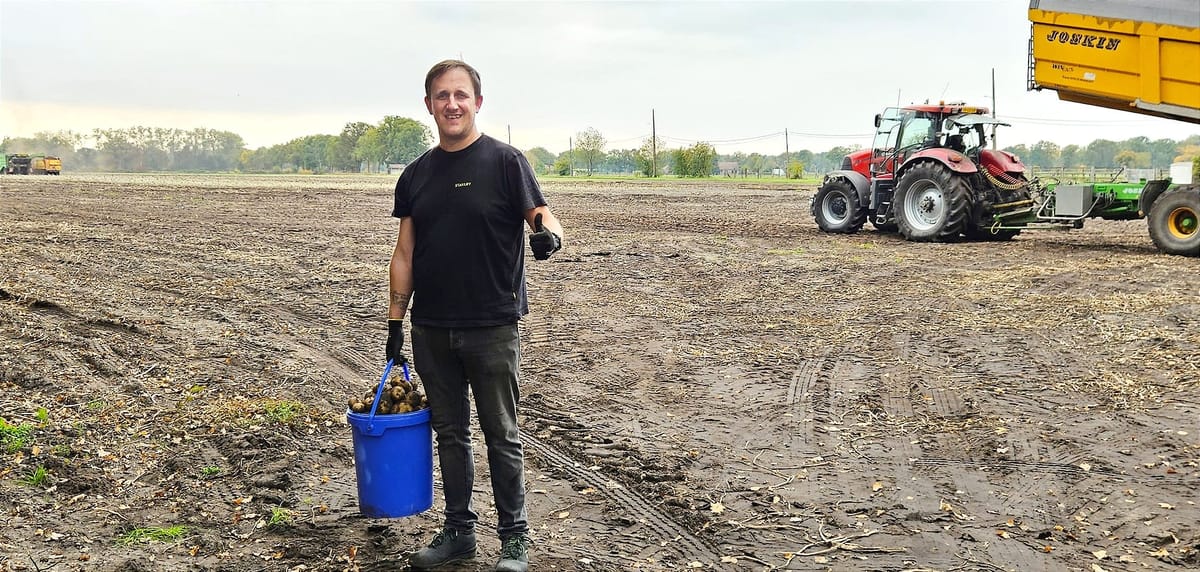 Aardappelen rooien