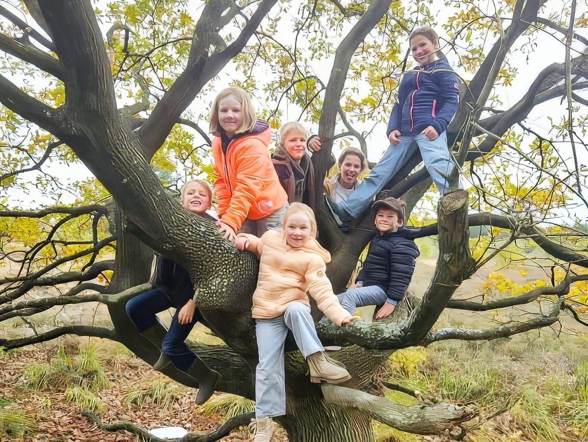 Vlinderwandeling bij Ferm Kerkhoven