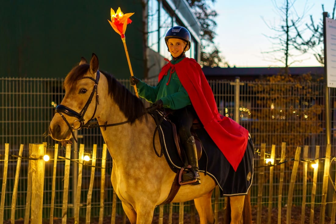 Schoolfeest bij 'De Speling'