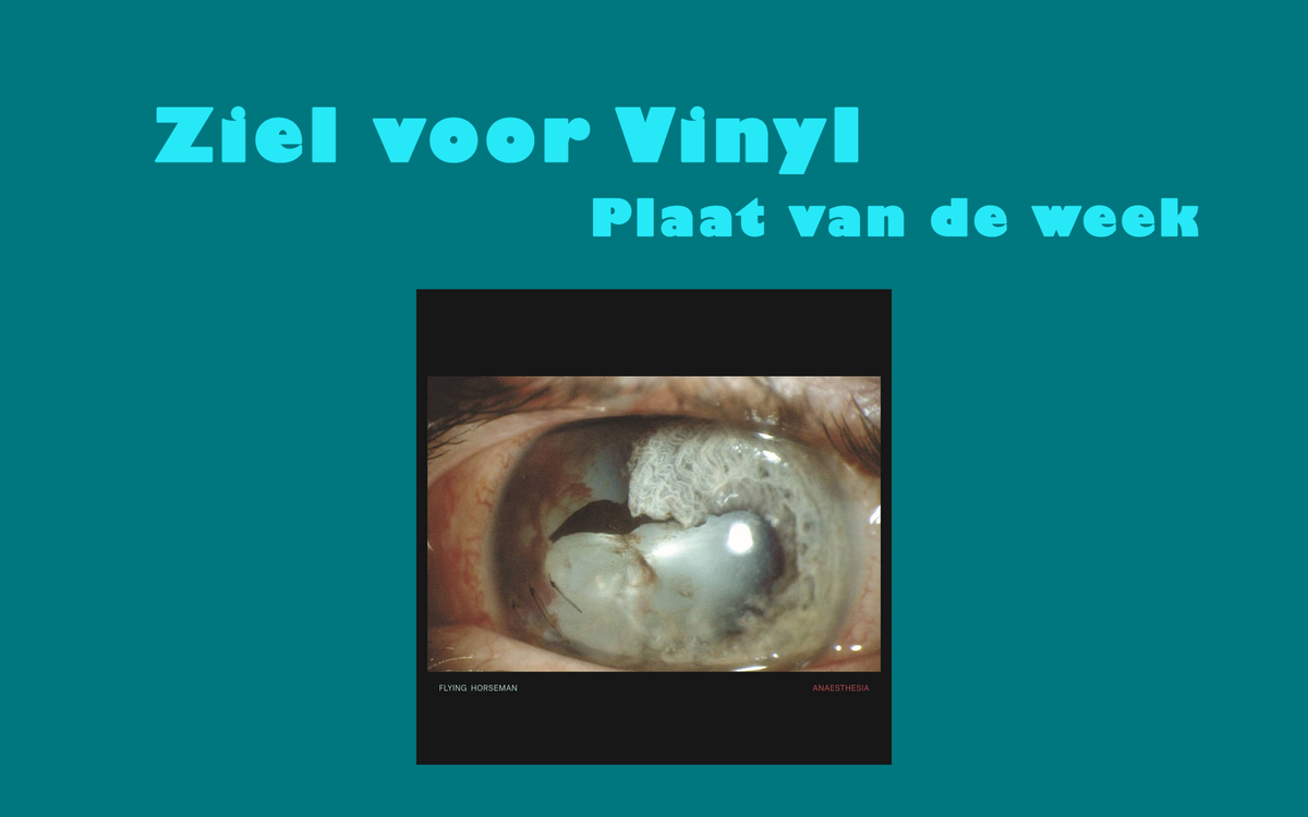 Flying Horseman - Anaesthesia