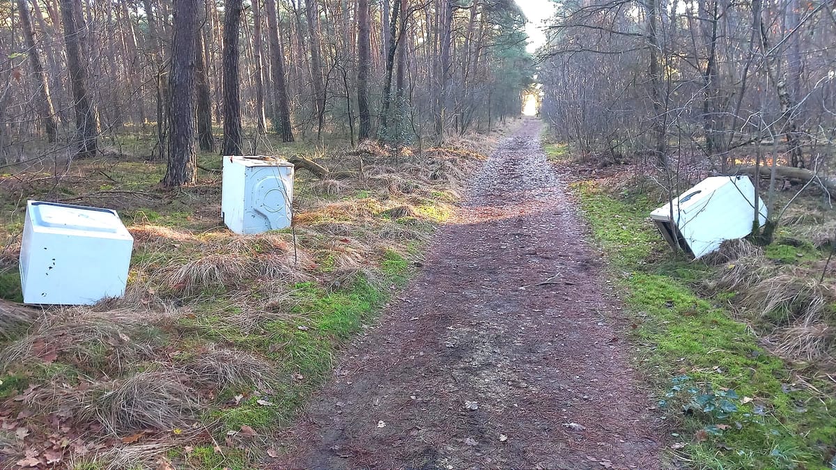 Witgoed in het groen