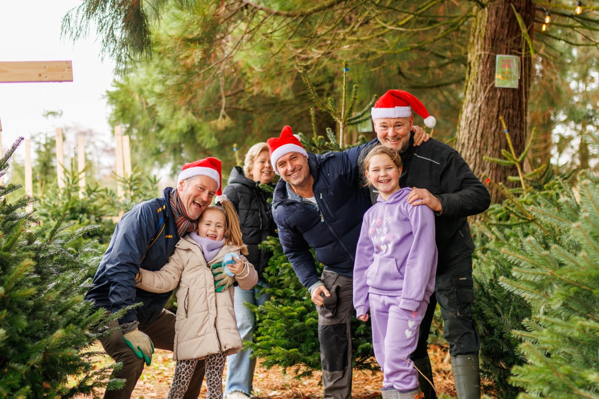 Hotdogs tussen de kerstbomen