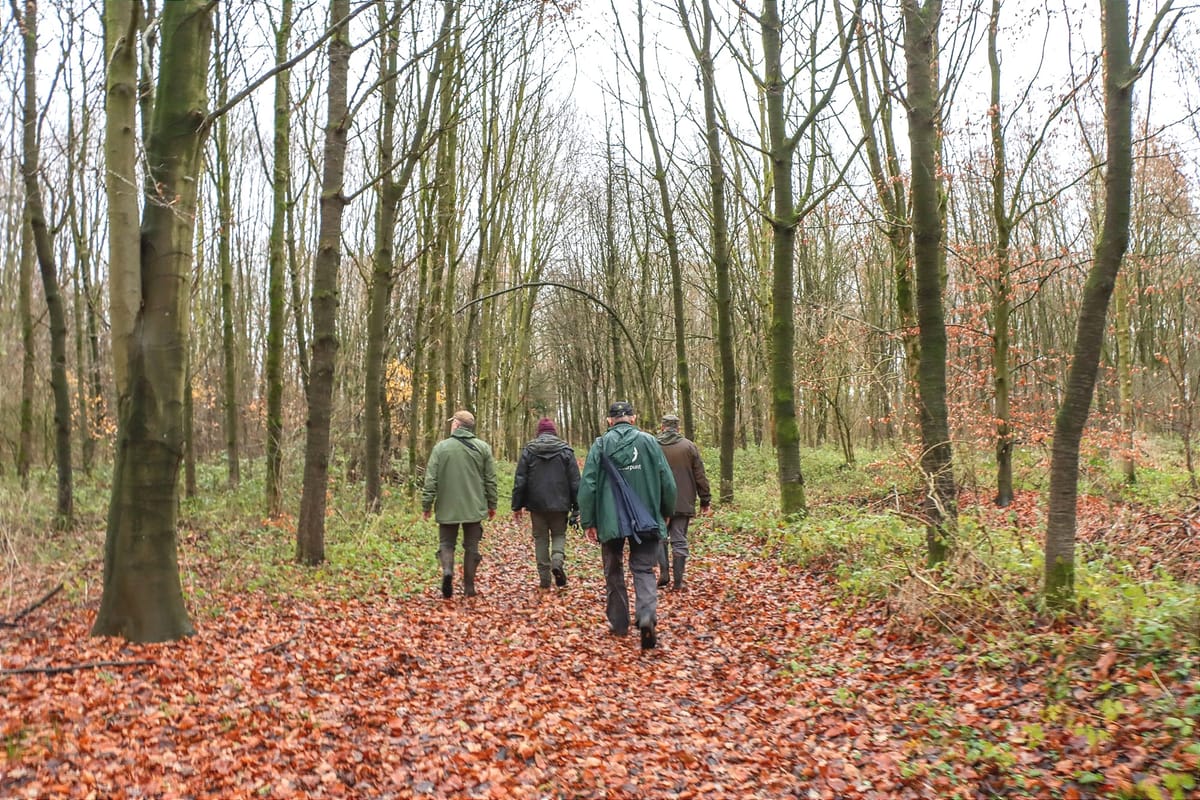 Winterwandeling Natuurpunt – een rustige natuur in winterslaap