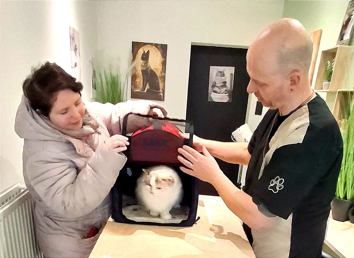 Kattentrimsalon 'Nile Queen' geopend