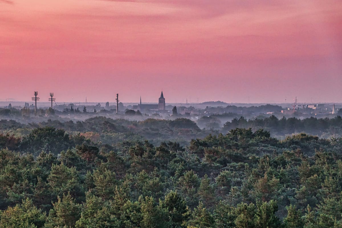 Blue Monday in Bosland: wanneer de natuur even stilvalt