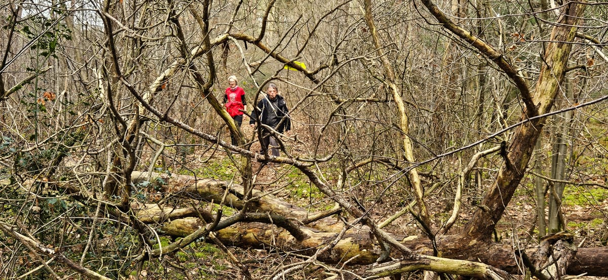 820 wandelaars voor Pijnventocht