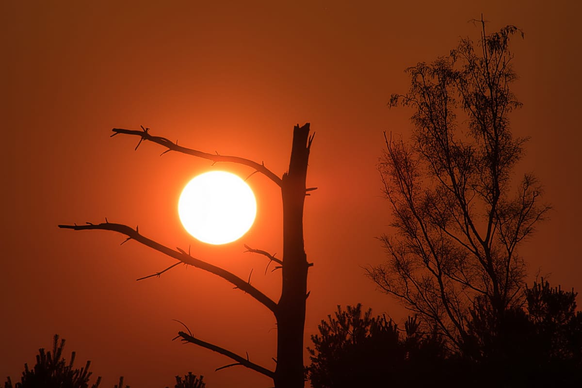 Zonsondergang aan voetgangersbrug en op  Blekerheide