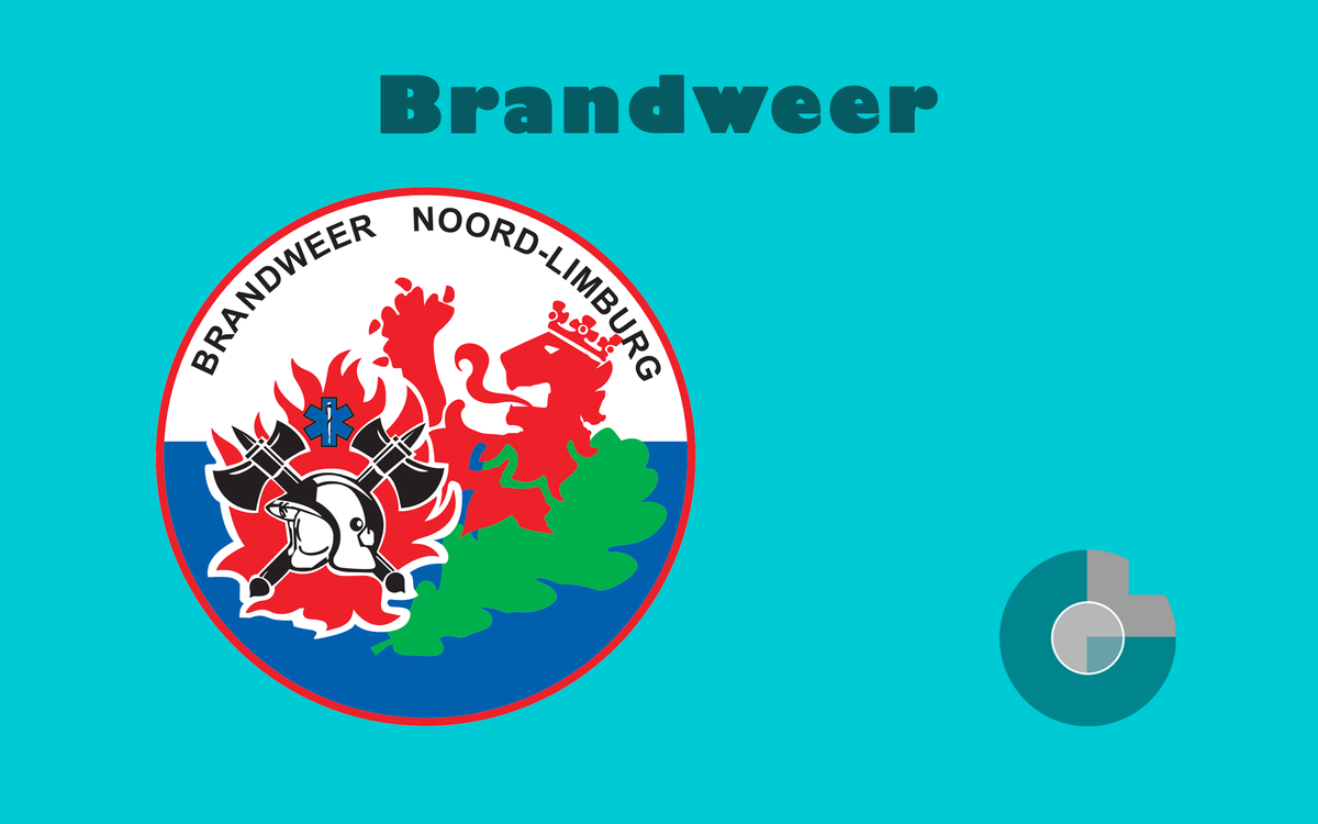 Auto uitgebrand op Ring