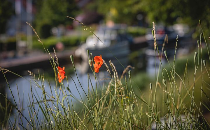 Vandaag gezien... in Kerkhoven