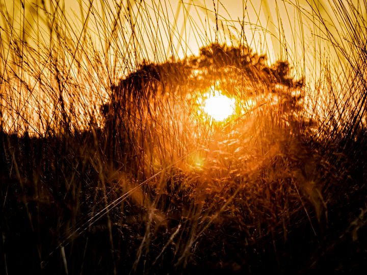 Sunset op de Blekerheide