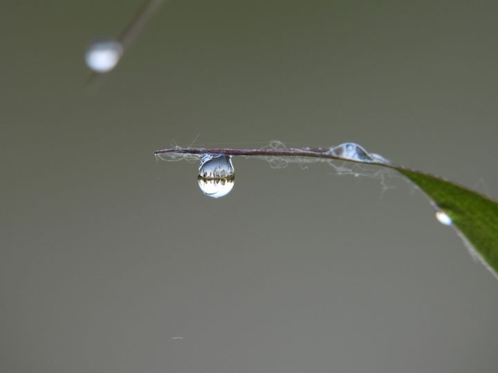 Ook 'beeldige' natuur in Lommel