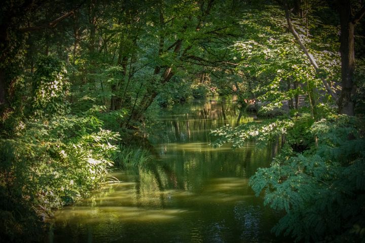 Wandelaar opgeschrikt door masturberende man