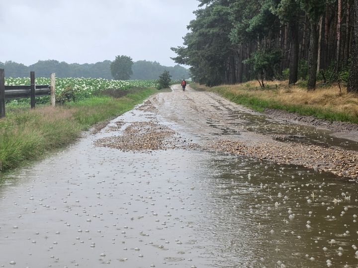 Internationale Teutentocht uitgeregend