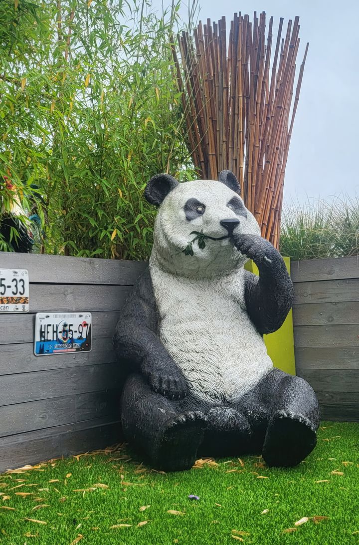 Een panda op het terras
