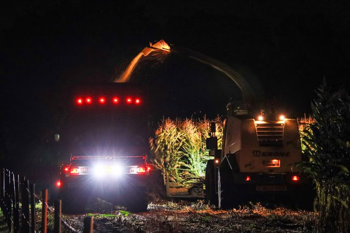 Nachtelijke maïsoogst