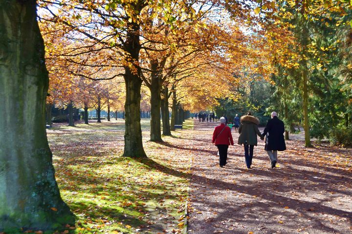 Lommel heeft 'Warmste Begraafplaats'
