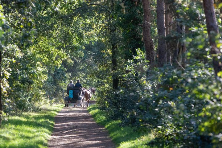 Bosland is 'Nationaal Park'!