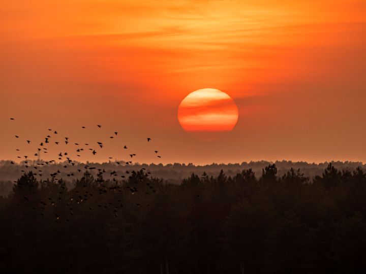 Natuur op vrijdag