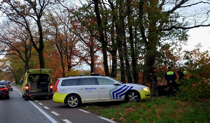 ๐ฃ Wolf doodgereden op Noord-Zuidverbinding