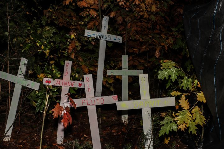 Halloweentocht op Heide Heuvel