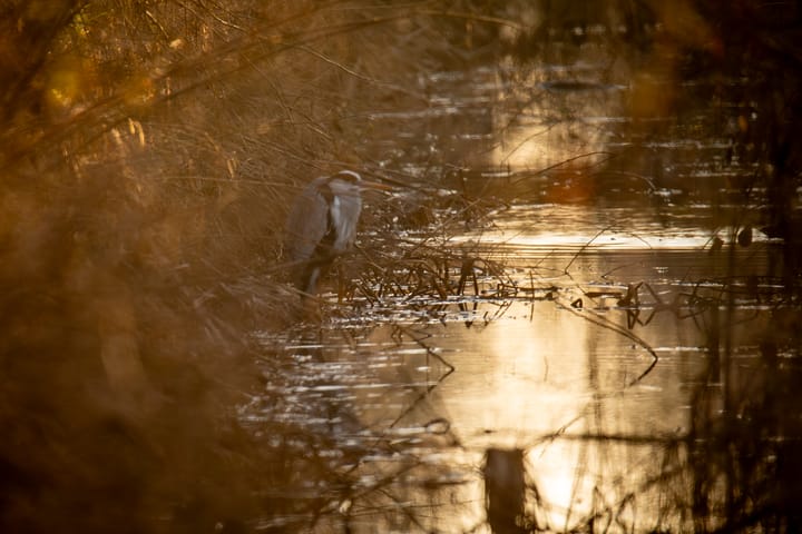 Natuur op een (bijna) lentedag