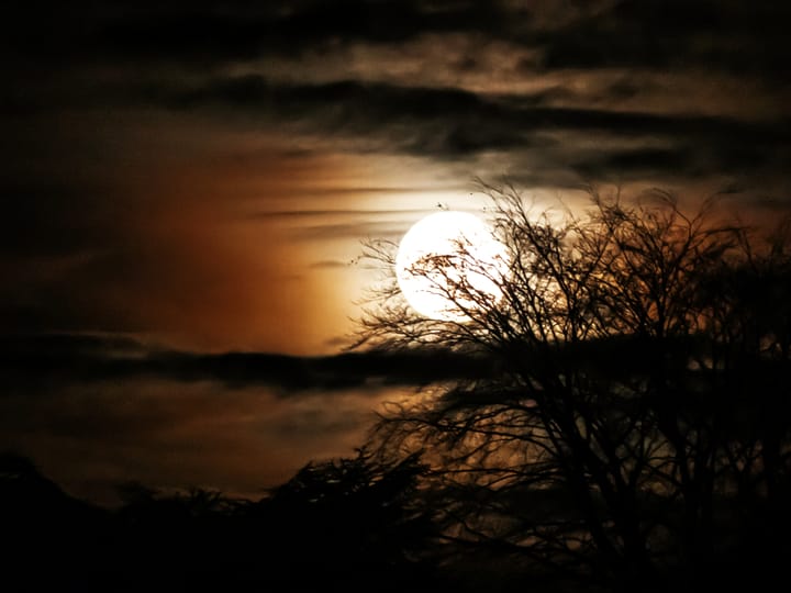 Maanlicht boven Lommel