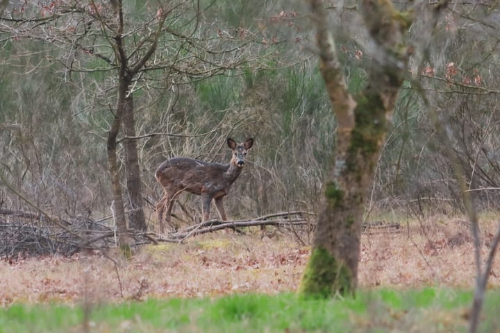 Natuur op een mooie zaterdag