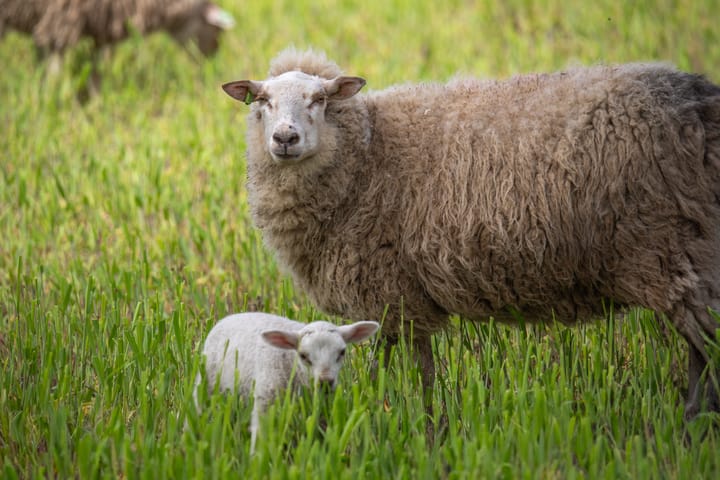 Natuur om het weekend in te gaan