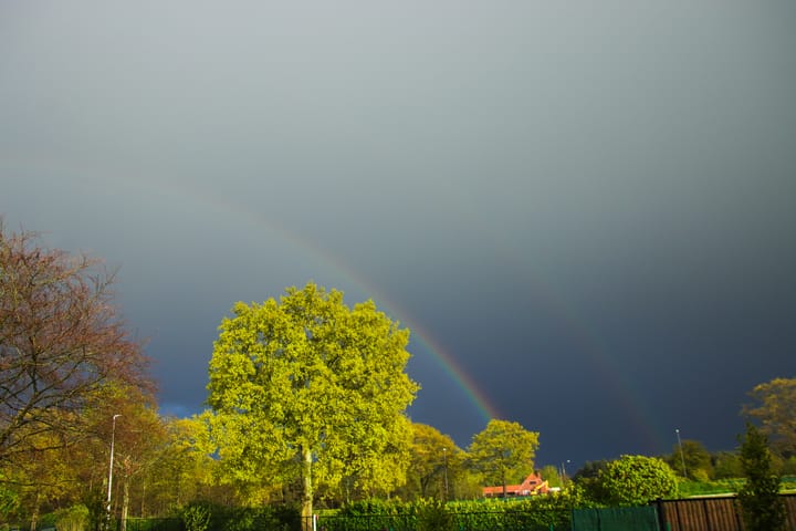 Ook regenweer levert mooie beelden op