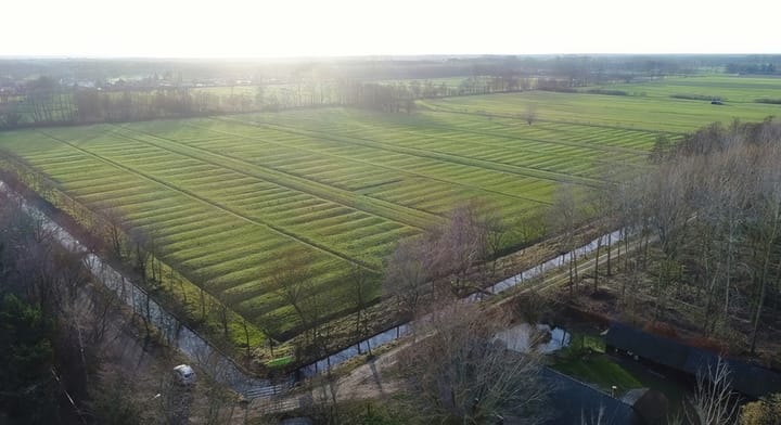 Rijke Waters: beleef het witteren nu als wandeling