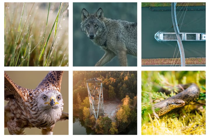 Bosland nu ook officieel erkend als Nationaal Park